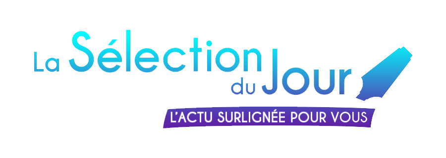 Logo La Selection Du Jour, client de DF Effect